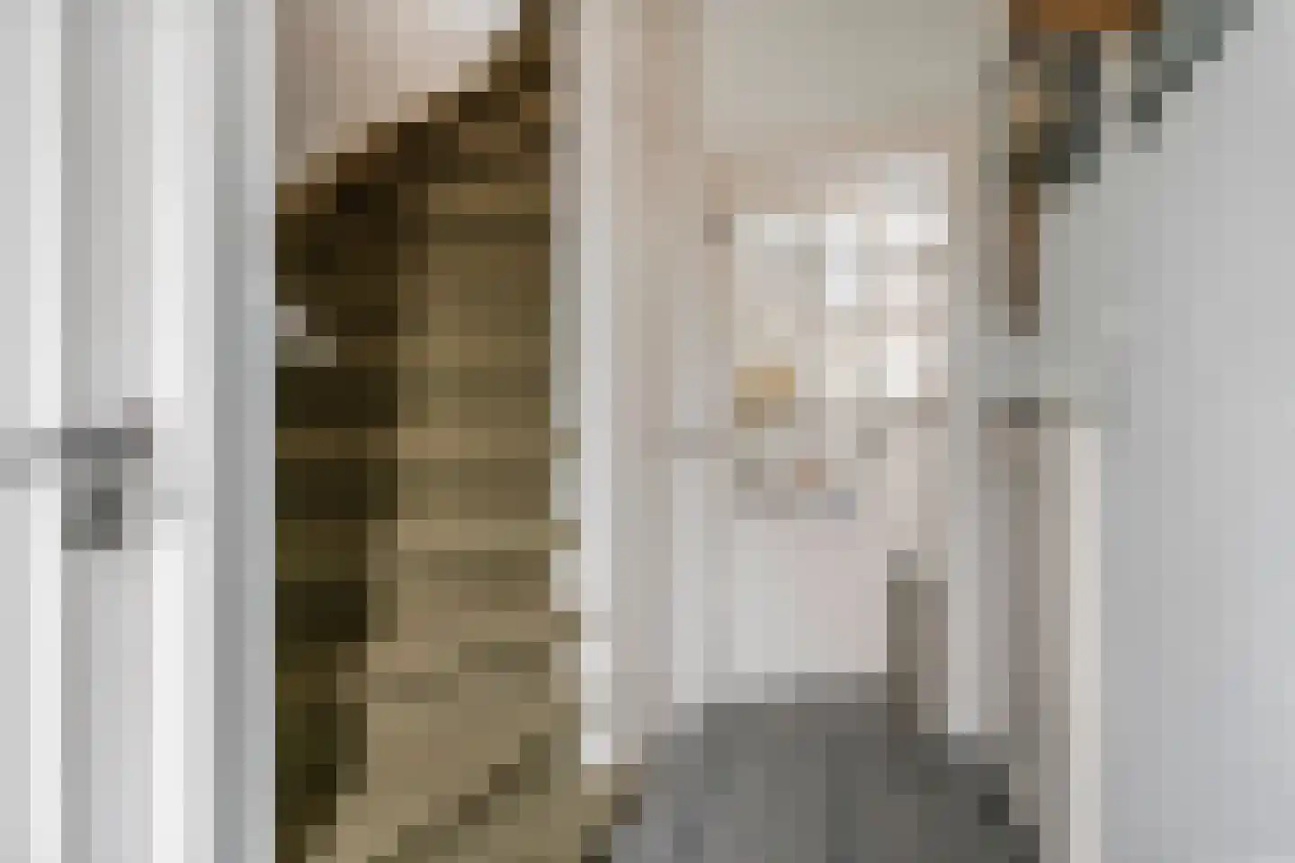 Piet Heinstraat 7 Druten thumbnail 15
