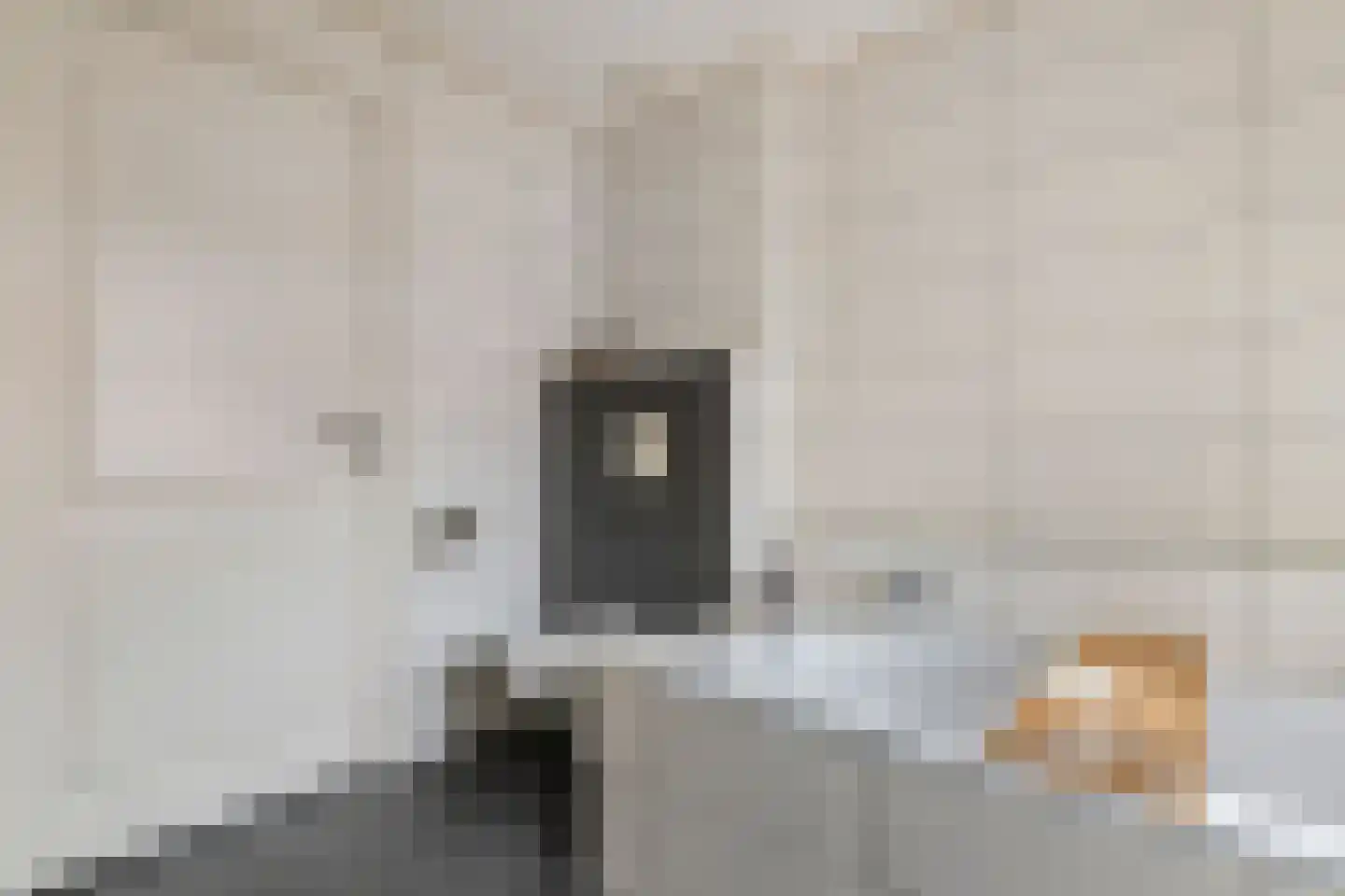 Piet Heinstraat 7 Druten thumbnail 22