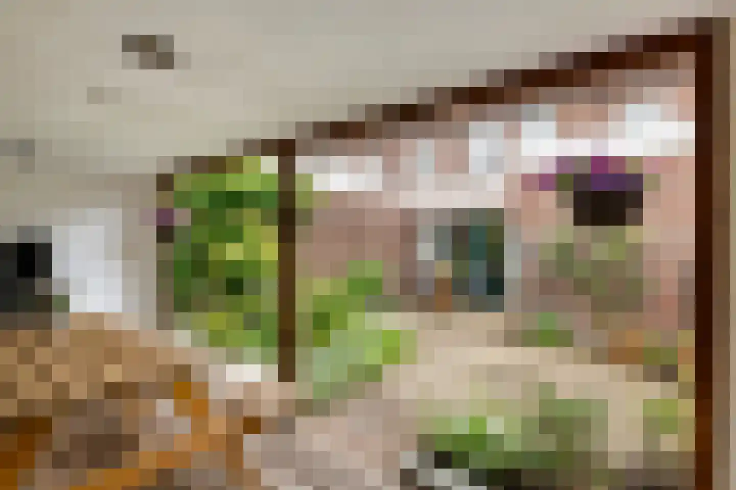 Piet Heinstraat 7 Druten thumbnail 29
