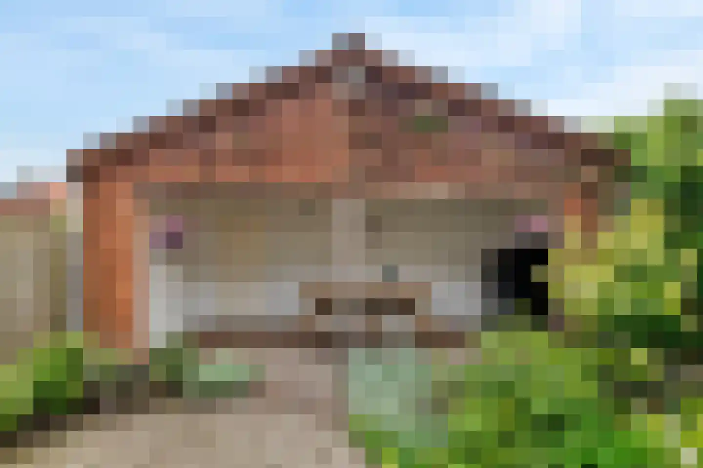 Piet Heinstraat 7 Druten thumbnail 32