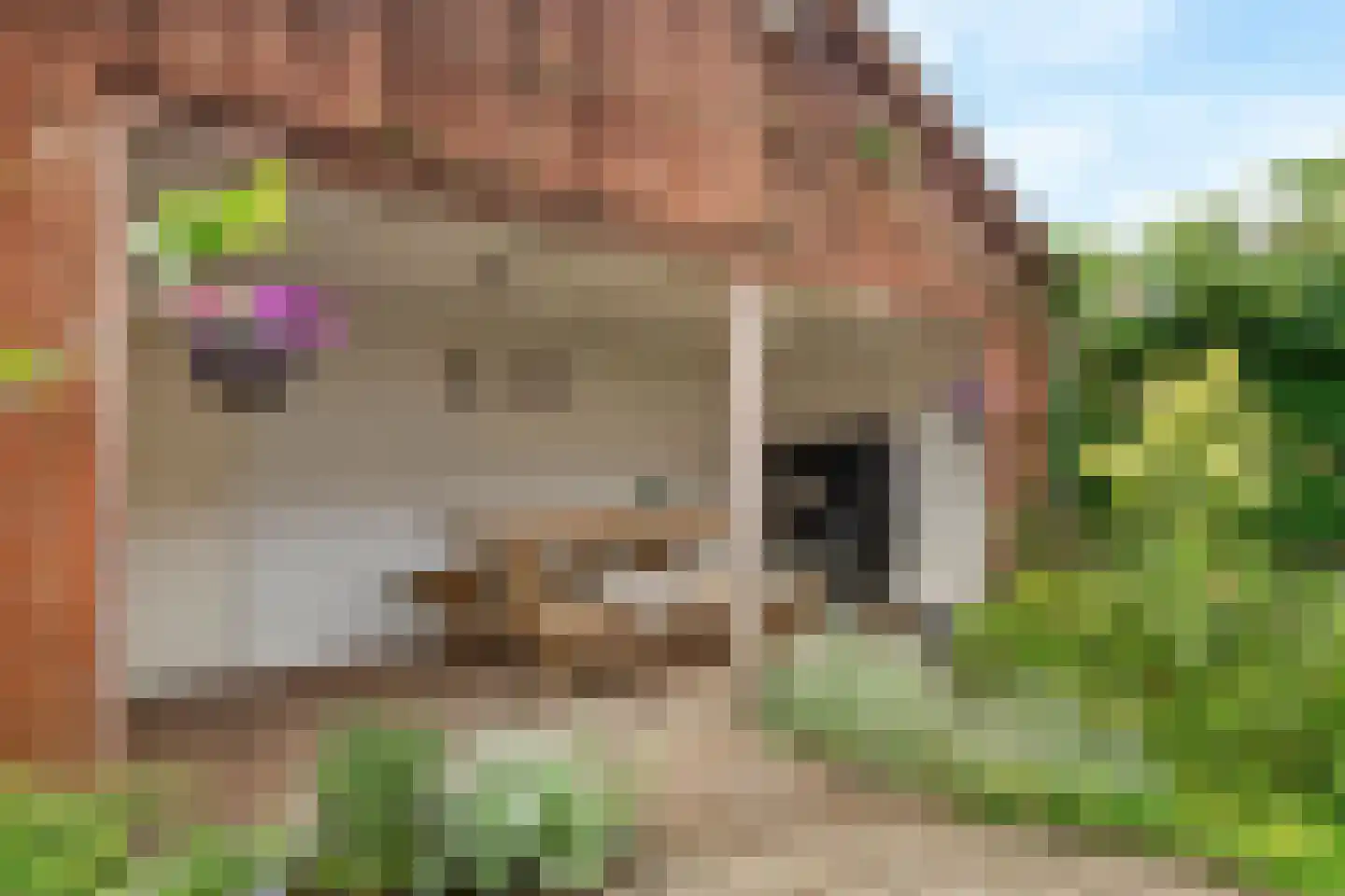 Piet Heinstraat 7 Druten thumbnail 33