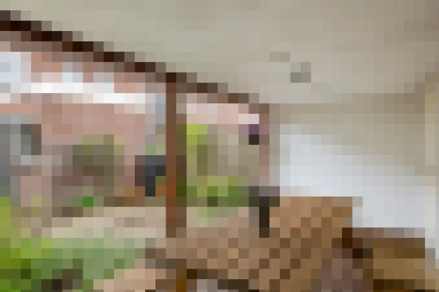 Piet Heinstraat 7 Druten thumbnail 34