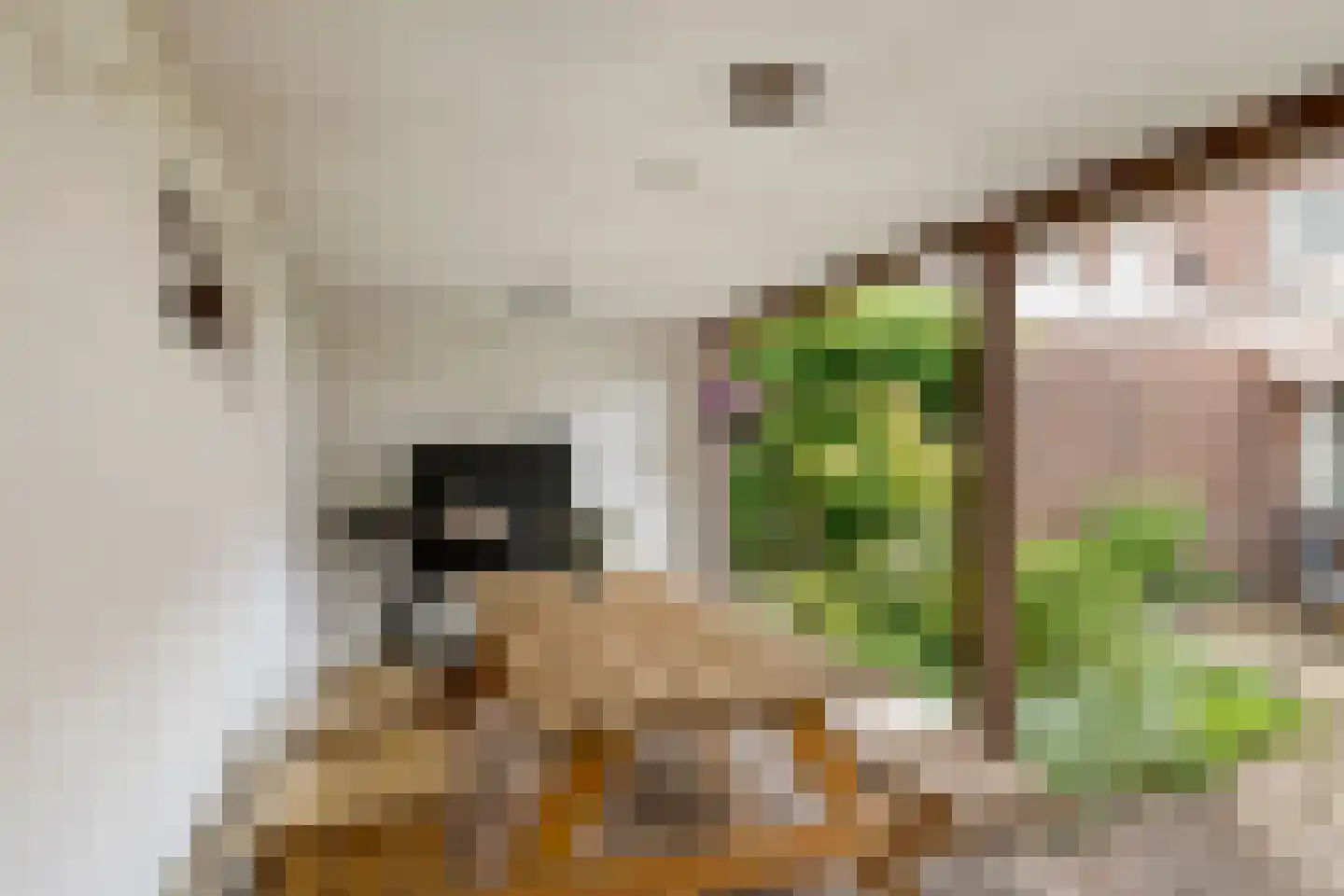 Piet Heinstraat 7 Druten thumbnail 35