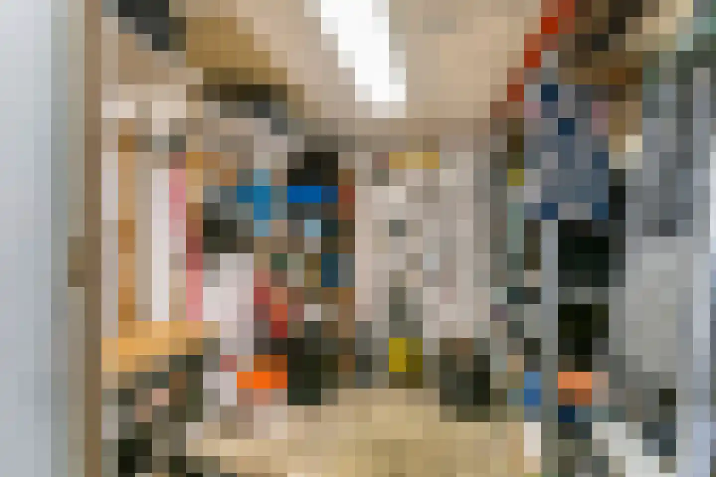 Piet Heinstraat 7 Druten thumbnail 36