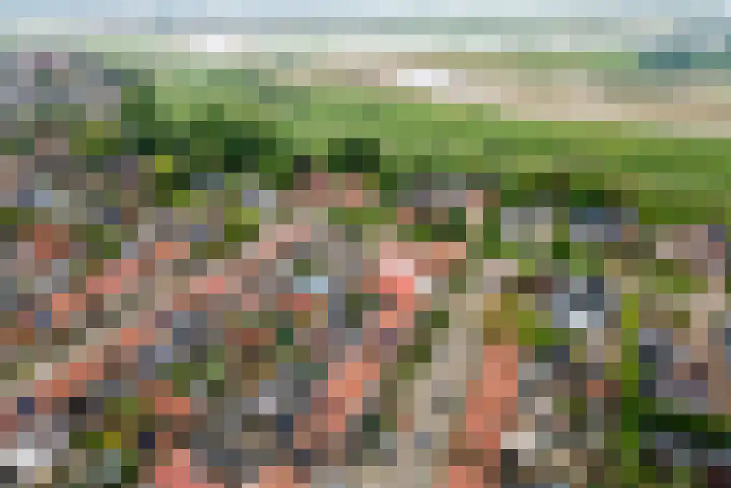 Piet Heinstraat 7 Druten thumbnail 39