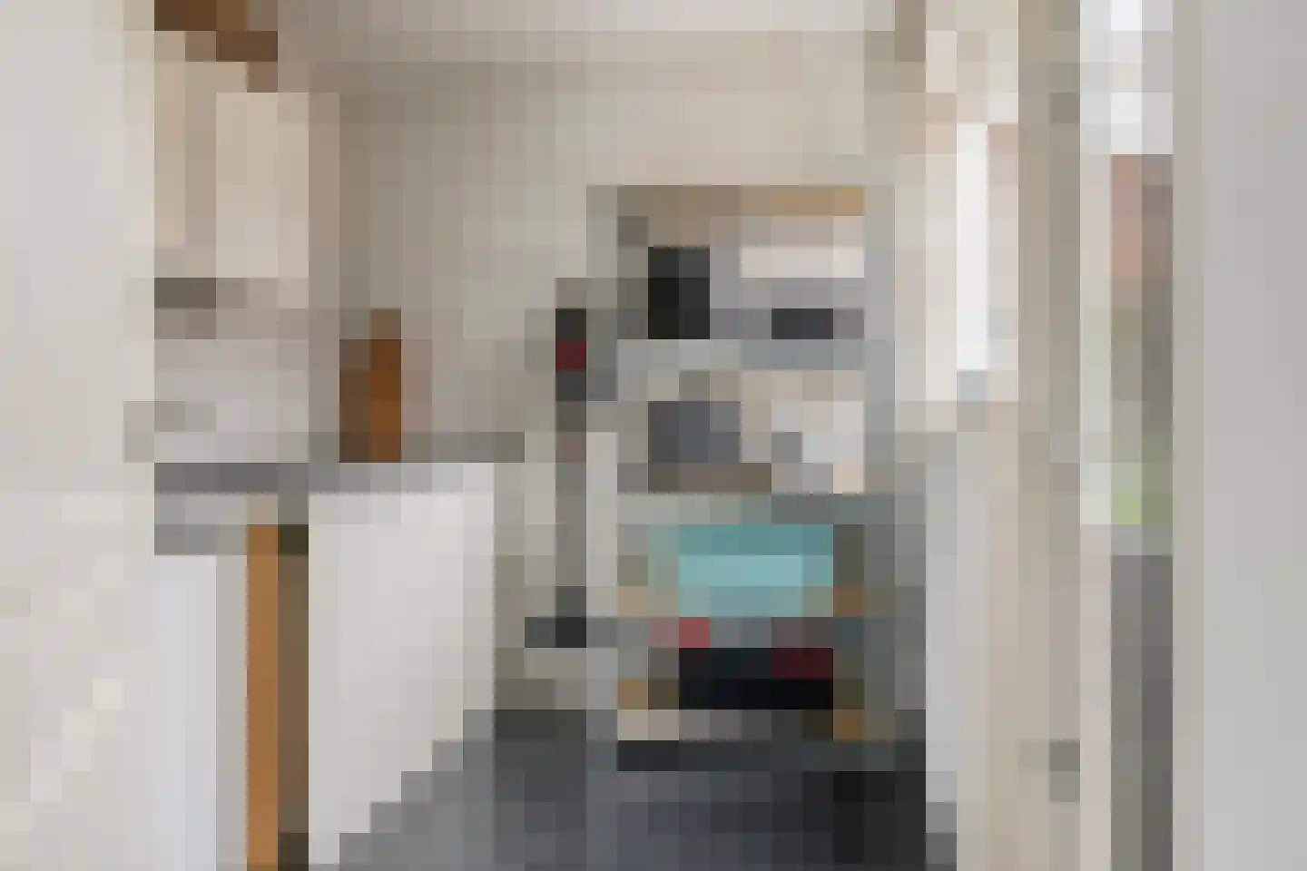 Piet Heinstraat 7 Druten thumbnail 8