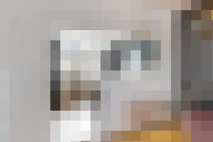 Piet Heinstraat 7 Maassluis thumbnail 21