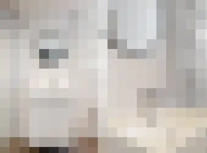 Piet Heinstraat 7 Maassluis thumbnail 28