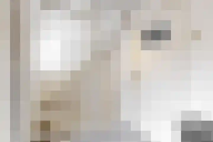 Piet Heinstraat 7 Maassluis thumbnail 30