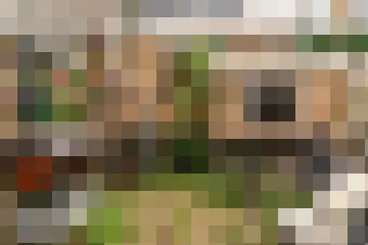 Piet Heinstraat 7 Maassluis thumbnail 34