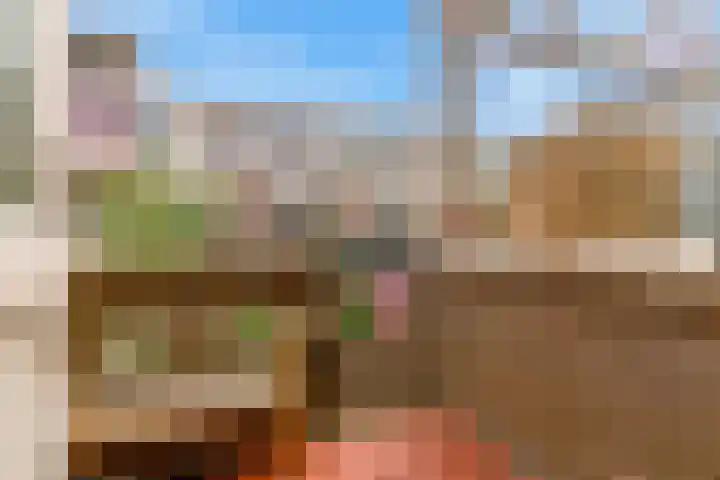 Piet Heinstraat 7 Maassluis thumbnail 37