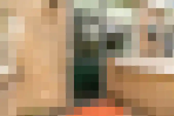Piet Heinstraat 7 Maassluis thumbnail 39