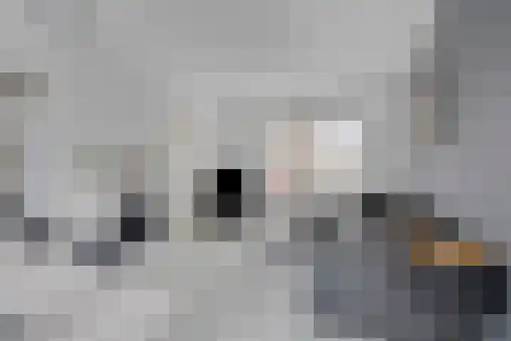 Piet Heinstraat 7 Rozenburg thumbnail 10