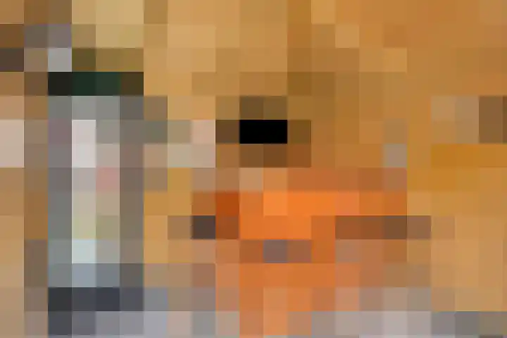 Piet Heinstraat 7 Rozenburg thumbnail 20