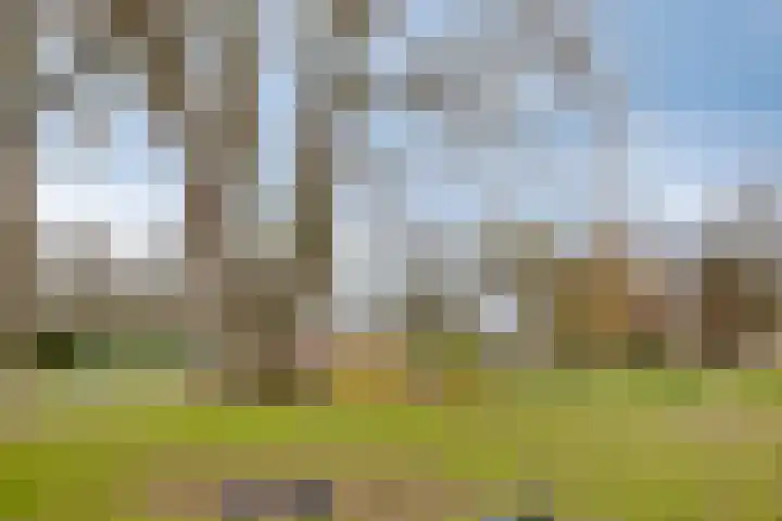 Piet Heinstraat 7 Rozenburg thumbnail 24