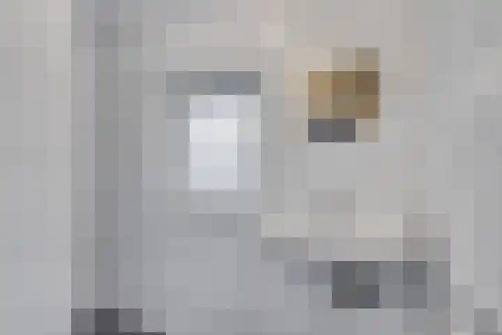 Piet Heinstraat 7 Rozenburg thumbnail 4