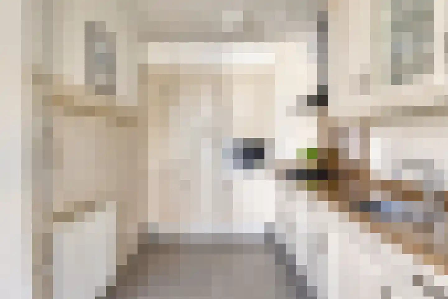 Piet Heinstraat 7 Veghel thumbnail 16