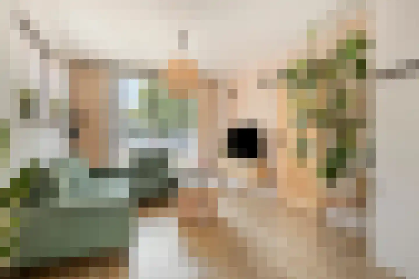 Piet Heinstraat 7 Veghel foto 3