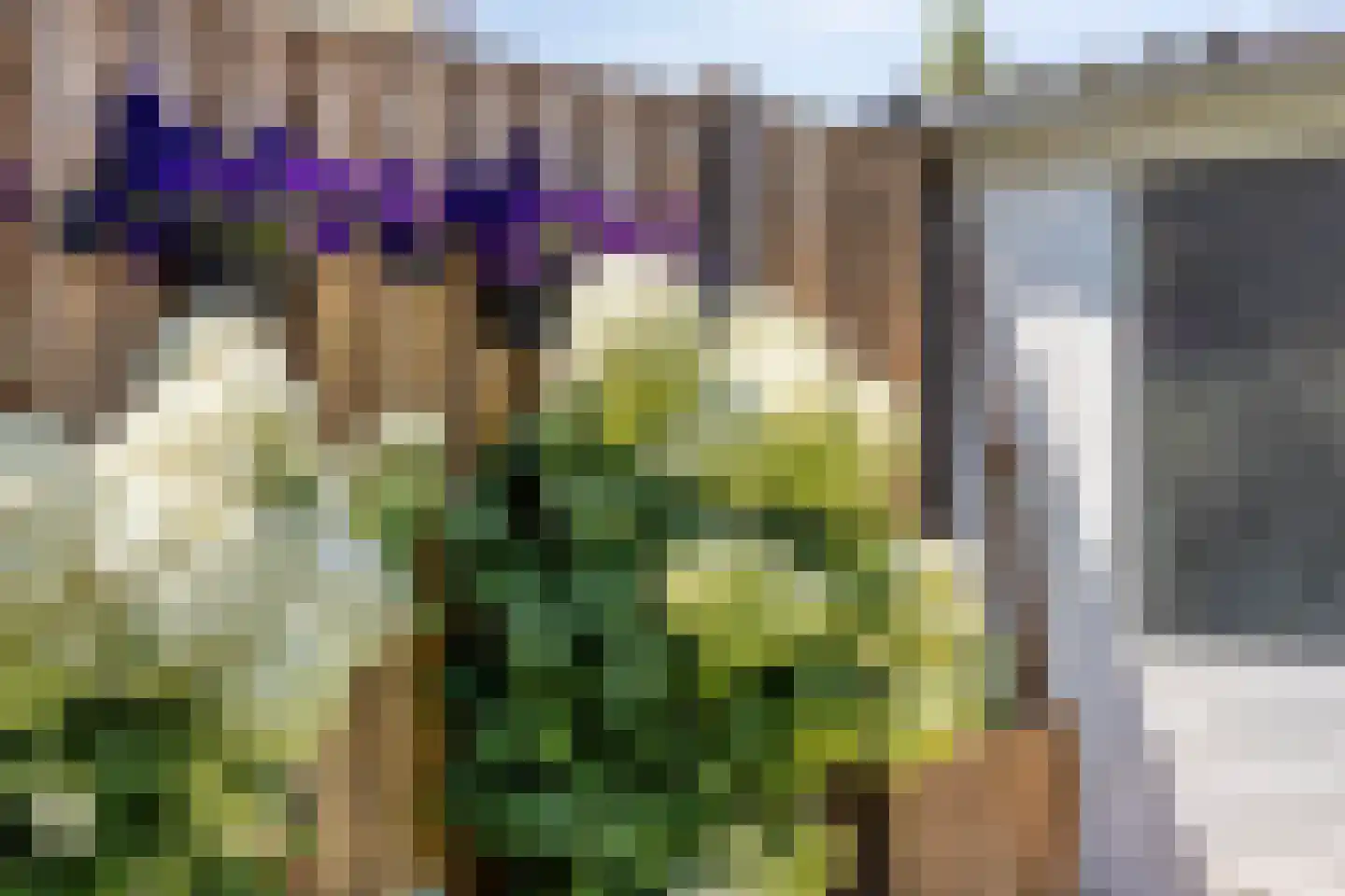 Piet Heinstraat 7 Veghel thumbnail 36