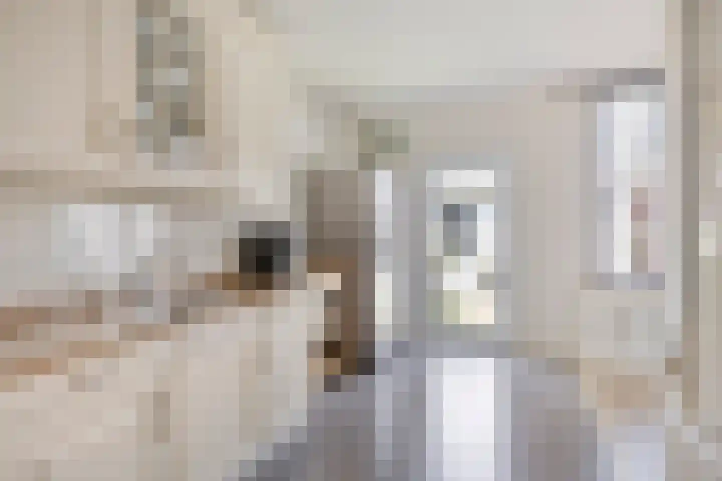 Piet Heinstraat 7 Veghel thumbnail 4
