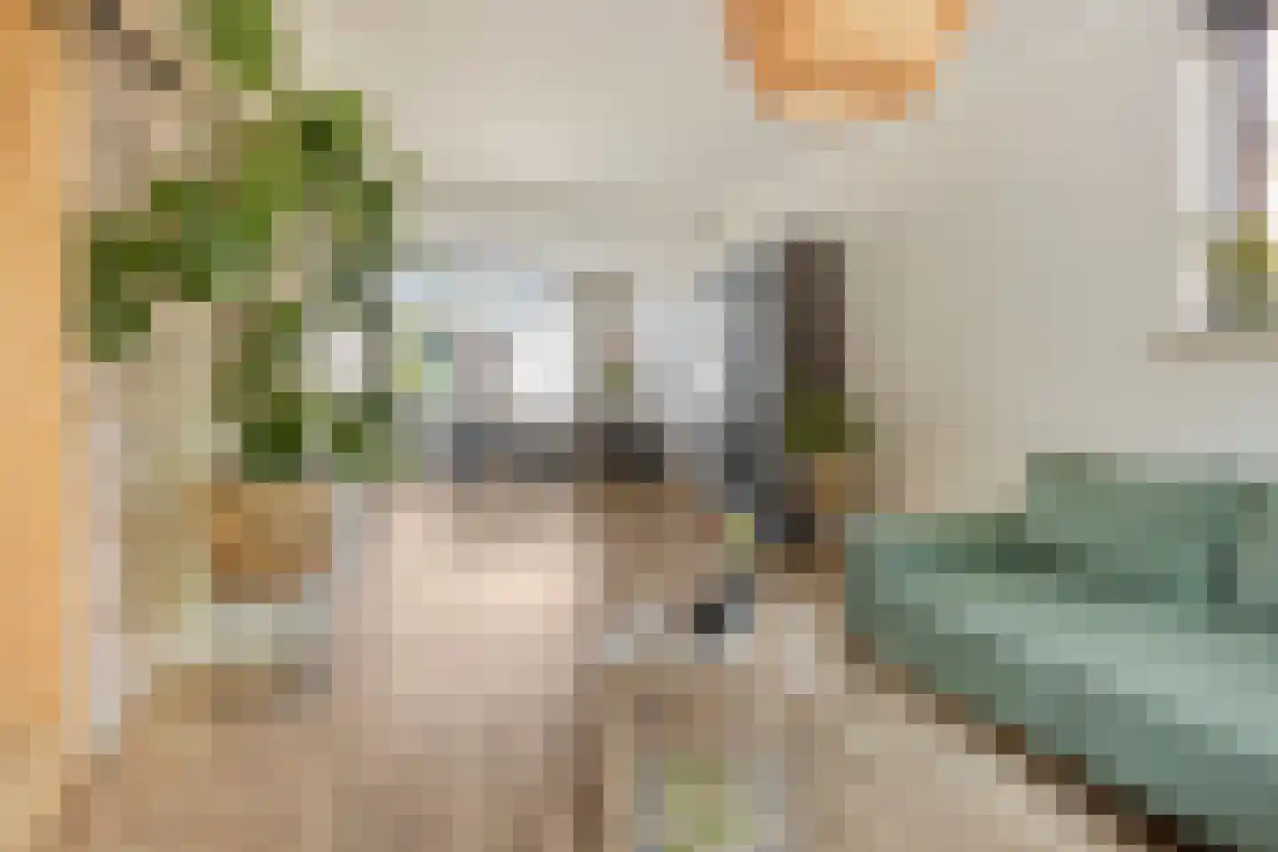 Piet Heinstraat 7 Veghel thumbnail 9
