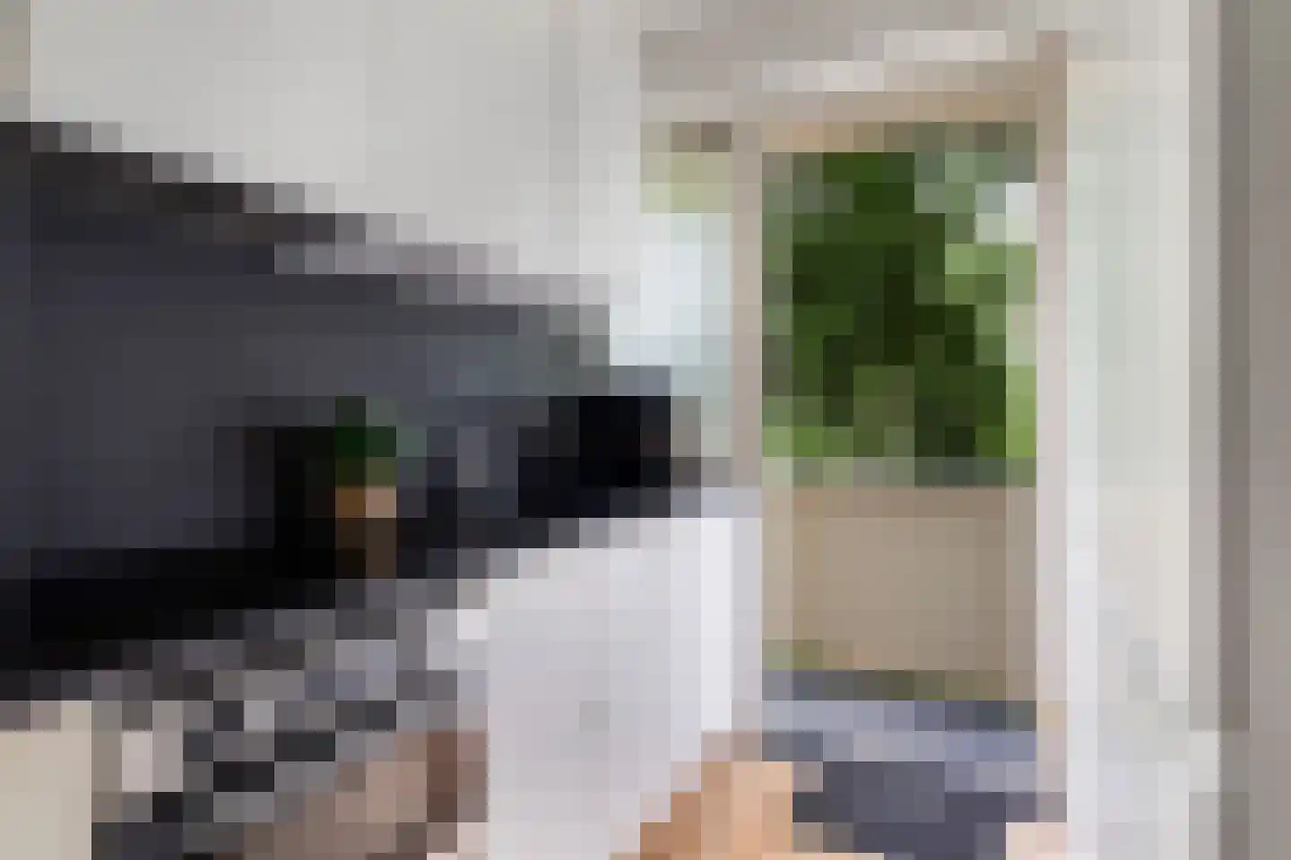 Piet Heinstraat 70 Maarssen thumbnail 12