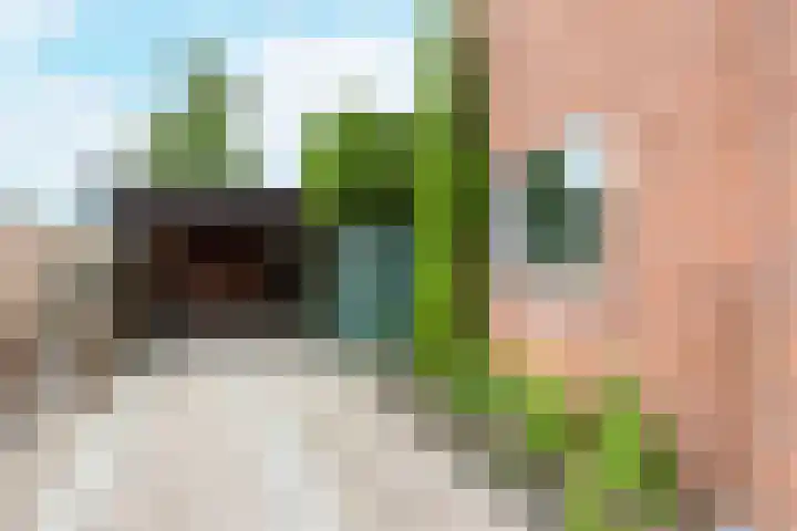 Piet Heinstraat 70 Middelburg thumbnail 10