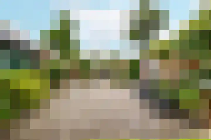 Piet Heinstraat 70 Middelburg thumbnail 17