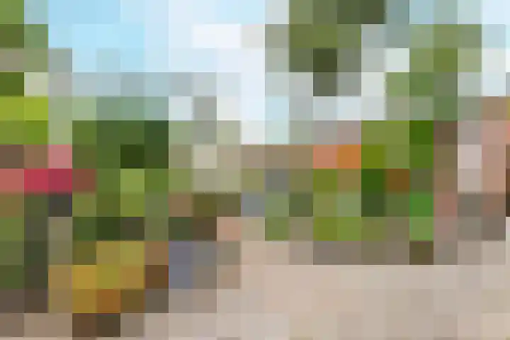 Piet Heinstraat 70 Middelburg thumbnail 19