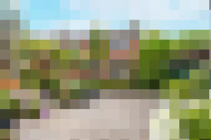 Piet Heinstraat 70 Middelburg thumbnail 5