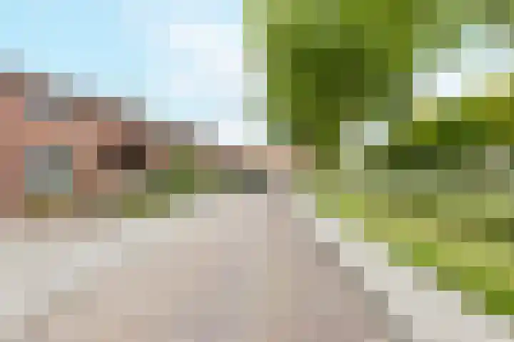 Piet Heinstraat 70 Middelburg thumbnail 9