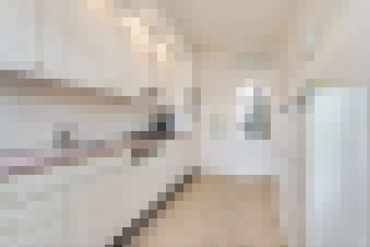 Piet Heinstraat 8 Zevenaar thumbnail 20