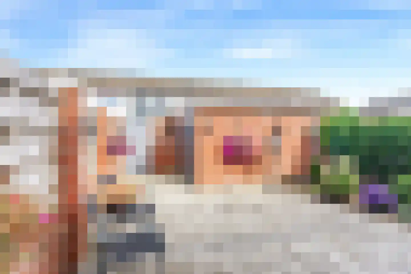 Piet Heinstraat 8 Zevenaar thumbnail 24