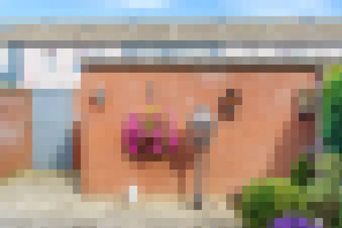 Piet Heinstraat 8 Zevenaar thumbnail 25