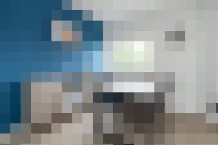 Piet Heinstraat 80 Maarssen thumbnail 10