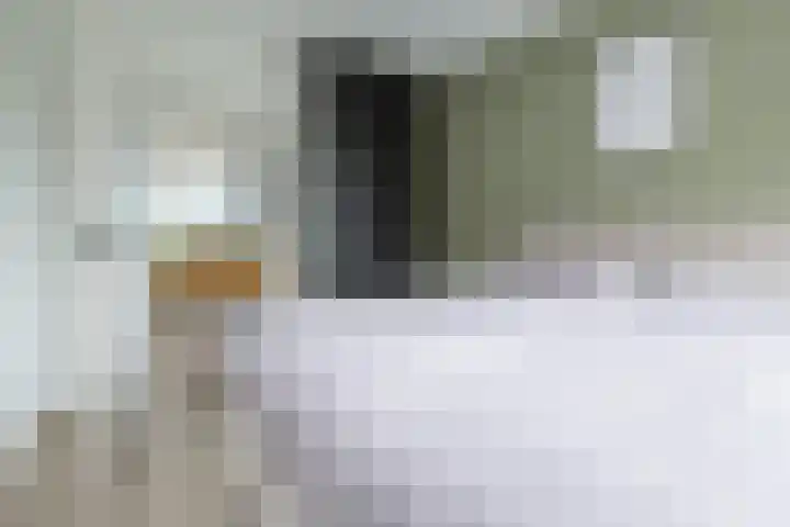 Piet Heinstraat 80 Maarssen thumbnail 15