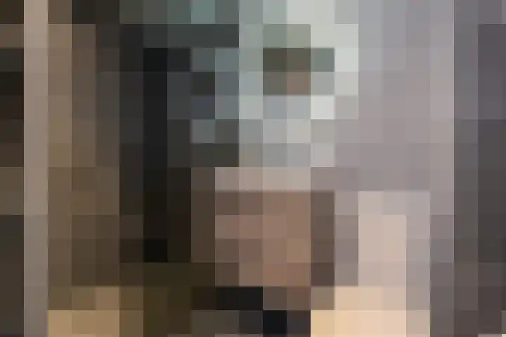 Piet Heinstraat 80 Maarssen thumbnail 16