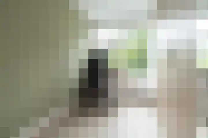 Piet Heinstraat 80 Maarssen thumbnail 18