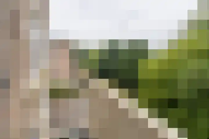 Piet Heinstraat 80 Maarssen thumbnail 20