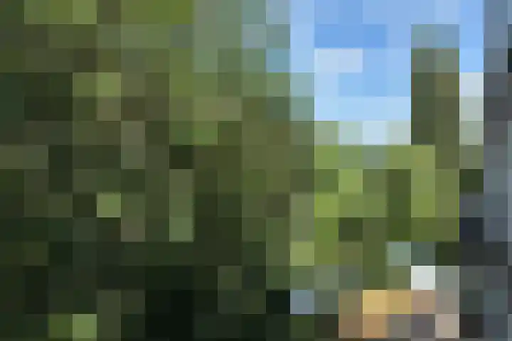Piet Heinstraat 80 Maarssen thumbnail 22