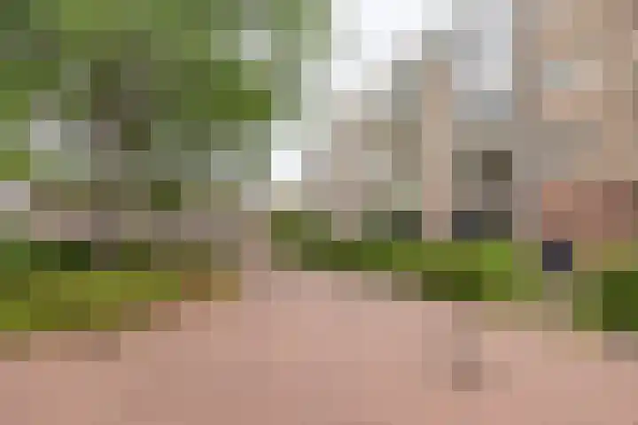 Piet Heinstraat 80 Maarssen thumbnail 24