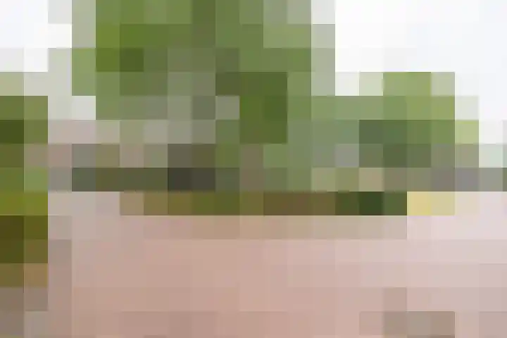 Piet Heinstraat 80 Maarssen thumbnail 26