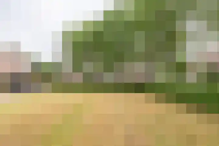 Piet Heinstraat 80 Maarssen thumbnail 27