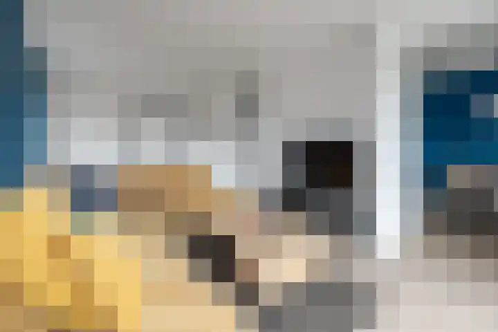 Piet Heinstraat 80 Maarssen thumbnail 6