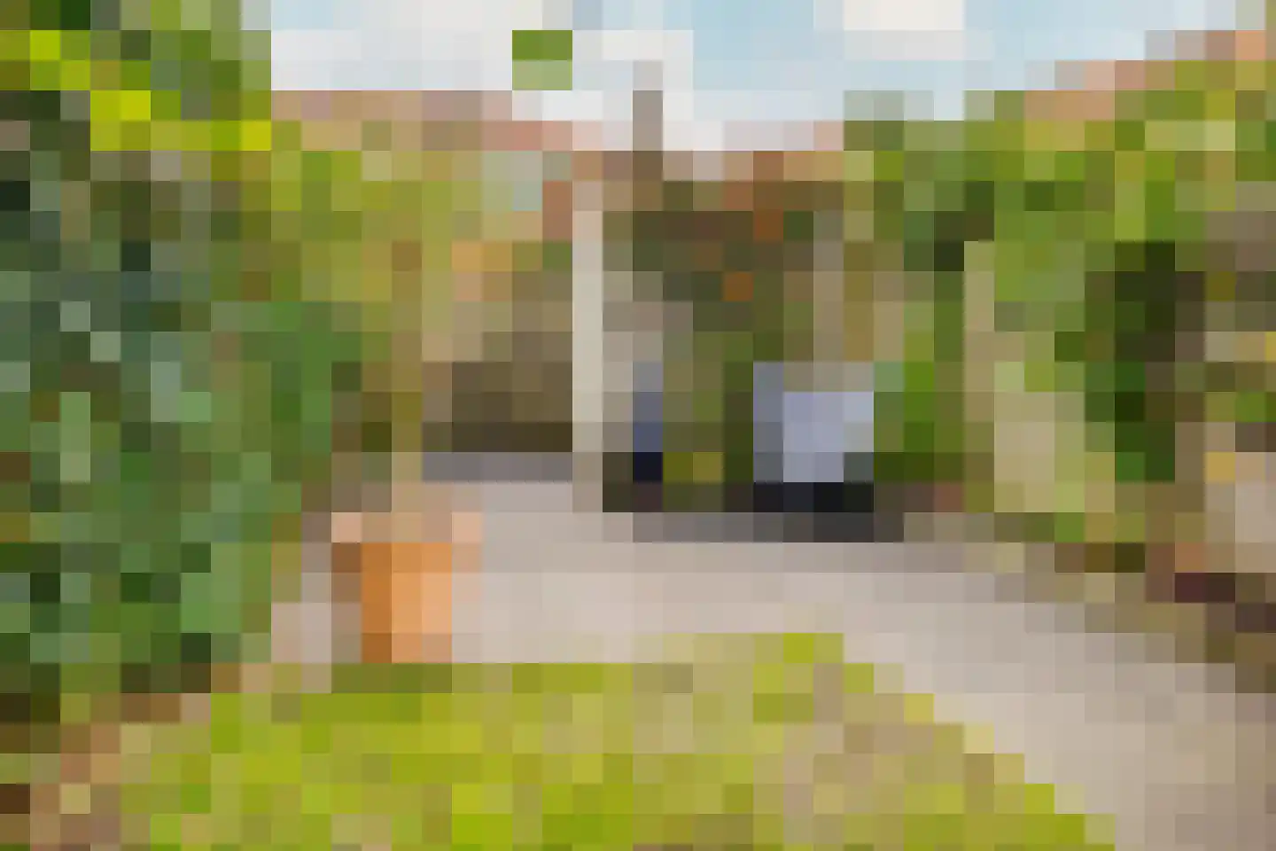 Piet Heinstraat 87 Zwolle thumbnail 20