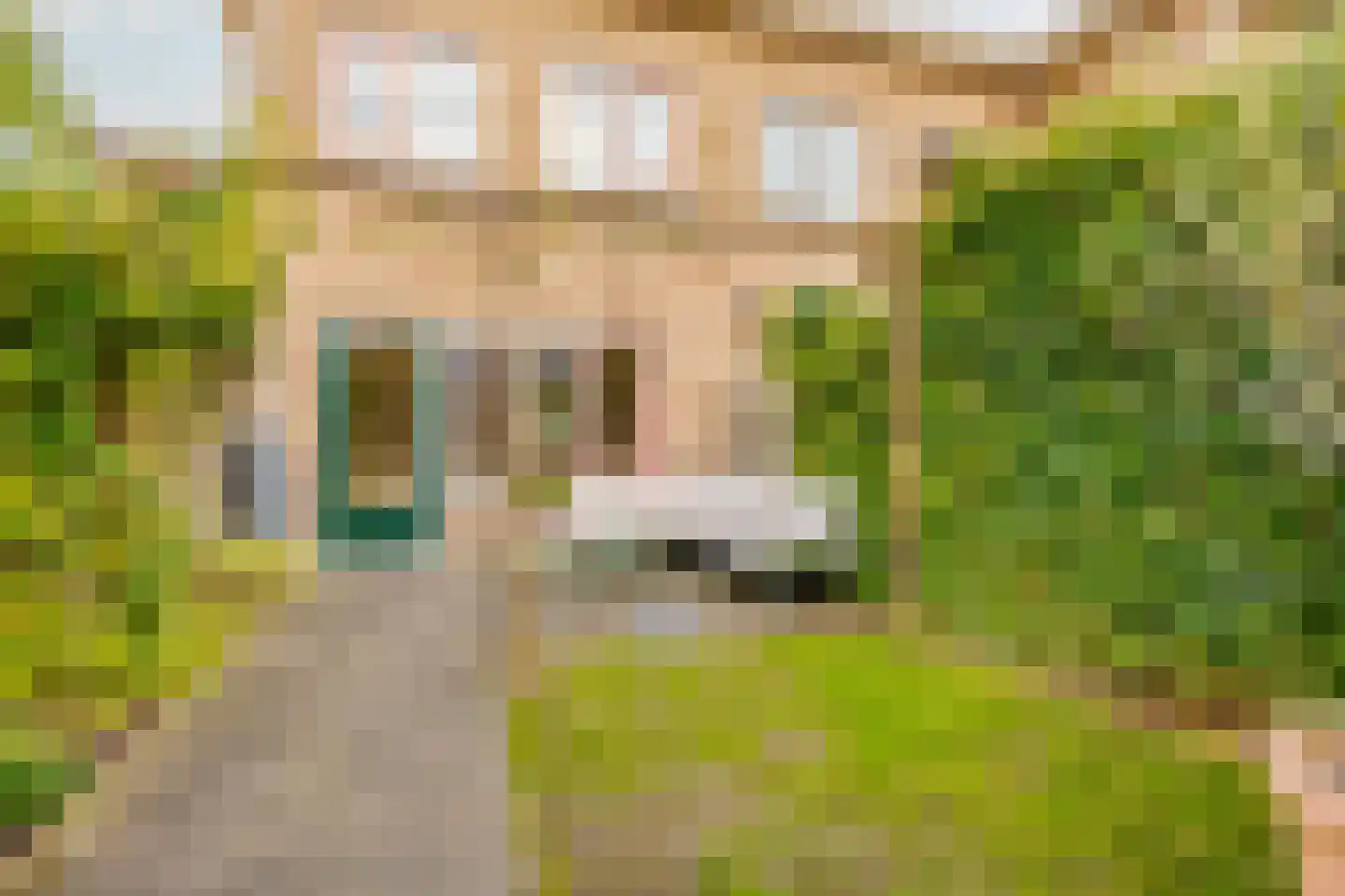 Piet Heinstraat 87 Zwolle thumbnail 21