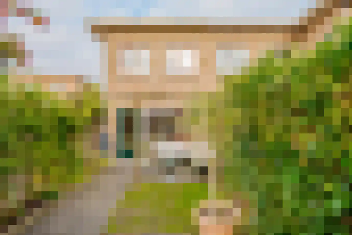 Piet Heinstraat 87 Zwolle thumbnail 22