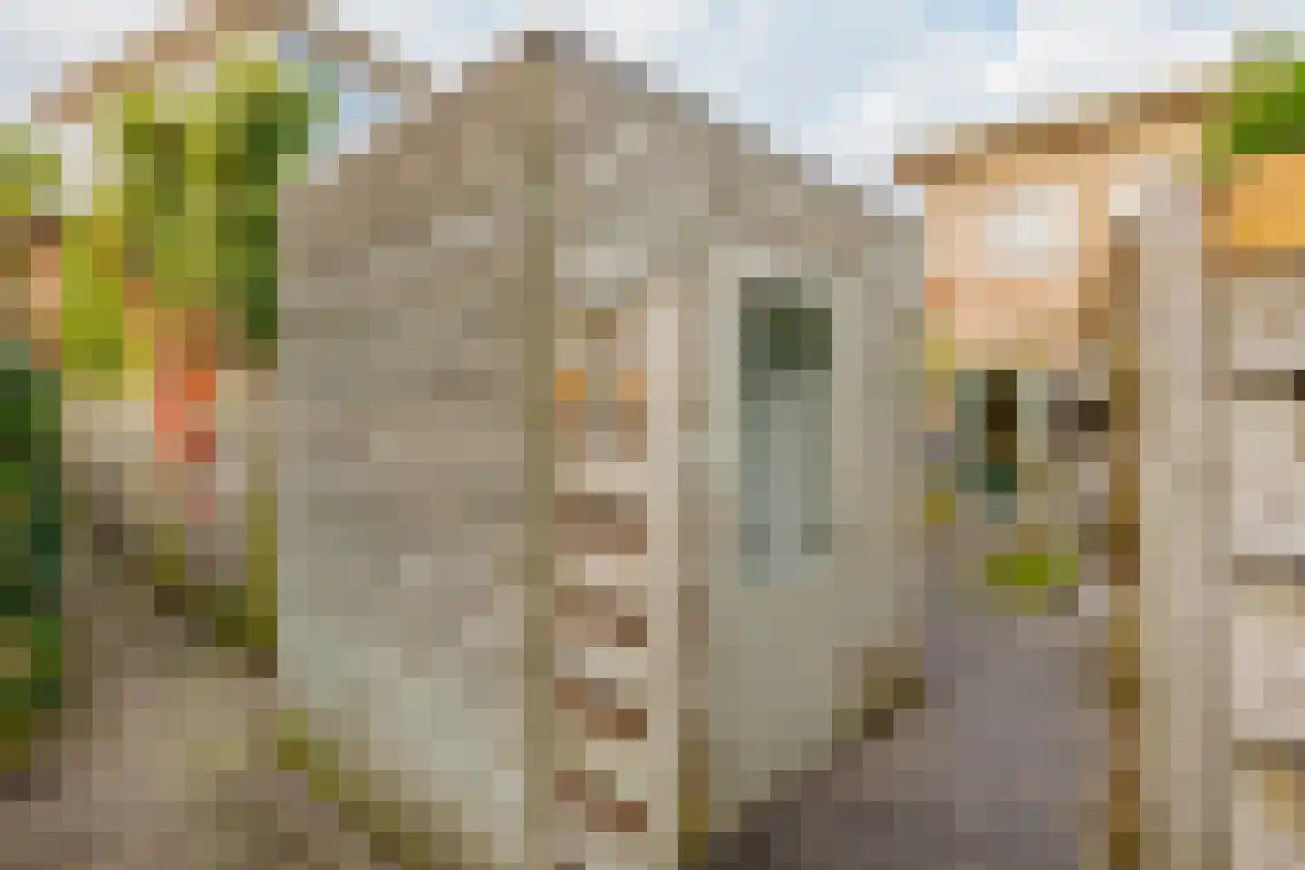 Piet Heinstraat 87 Zwolle thumbnail 34