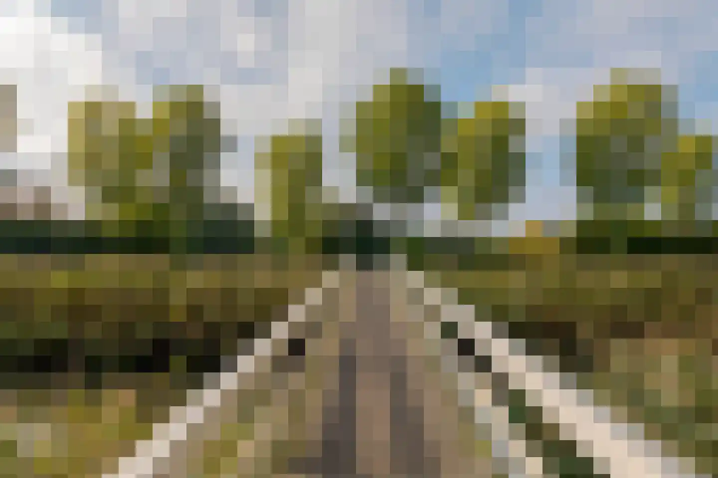 Piet Heinstraat 87 Zwolle thumbnail 42