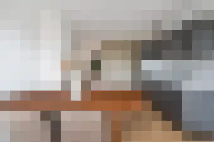 Piet Heinstraat 89 B Den Haag thumbnail 10